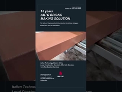 Introdução em serviço da linha de produção de tijolos decorativos Brictec